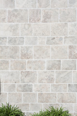 Stone wall texture with grass