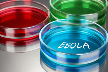 Ebola virus disease