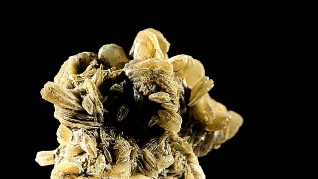 schoene gipsrose mineral und schwarzer hintergrund