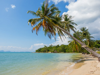 Fototapeta na wymiar Tropical beach of Koh Samui island
