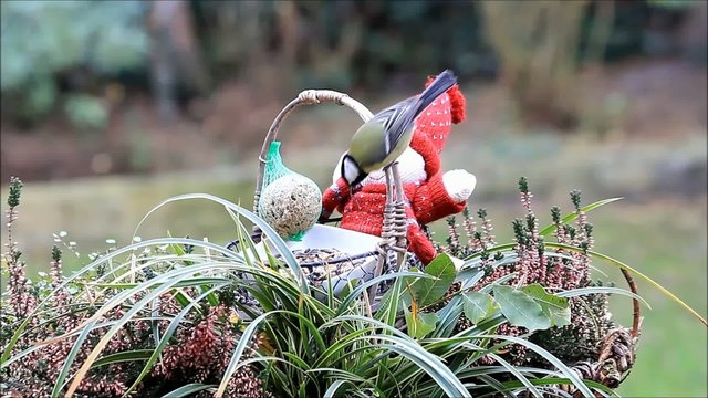 Korb mit Puppe und Winterfutter f&uuml;r V&ouml;gel 