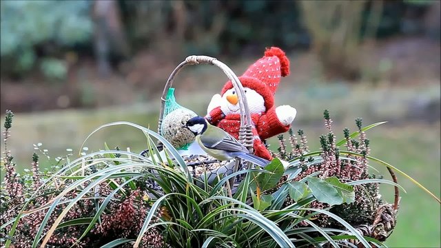 Korb mit Puppe und Winterfutter f&uuml;r V&ouml;gel 