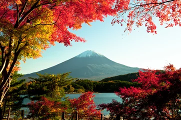 Foto op Canvas Mt Fuji © warasit