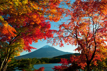Mt Fuji