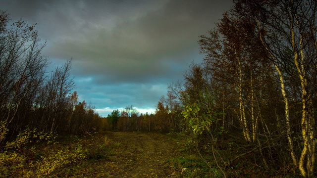 Storm clouds over the autumn forest