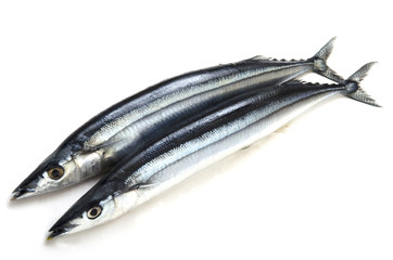 秋刀魚