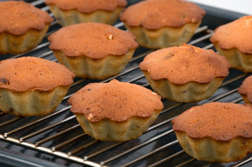 Cupcakes on a lattice