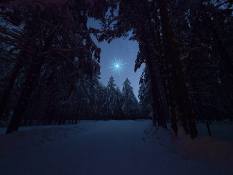 Beautiful night winter landscape with the stars