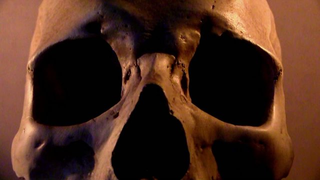 Human skull in flickering candle light