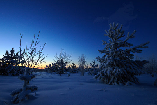 Beautiful night winter landscape with the stars