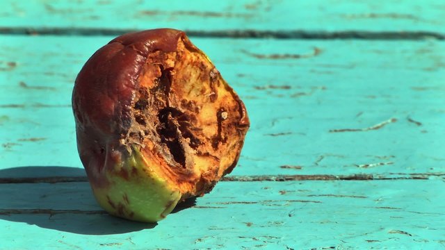 rotten apple
