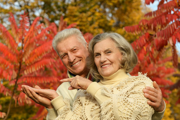 Old couple posing at autumn park