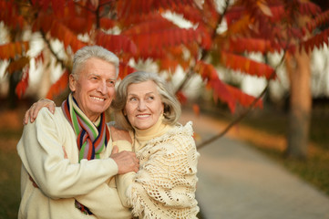 Fototapeta premium Mature couple in the autumn park