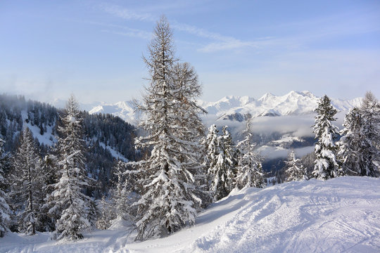 Dolomiten Alps Of Val Di Sole