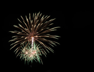 Obraz premium Colorful fireworks in the black sky