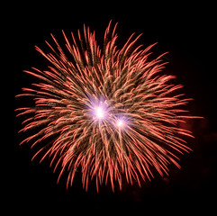 Fototapeta premium Colorful fireworks in the black sky