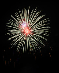 Colorful fireworks in the black sky
