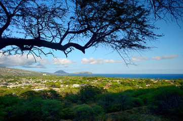 A trail to Diamond Head crater viewpoint on Oahu