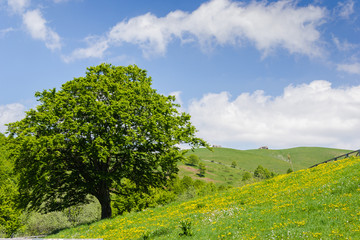 Conca dei Parpari - Verona - Italy