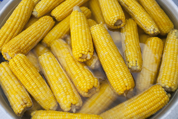Details of corn boil in Thailand