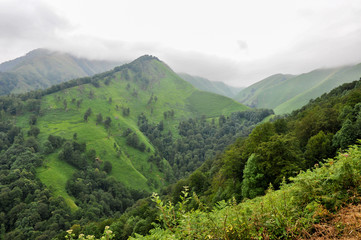 Obraz premium Paysage montagne sous la brume
