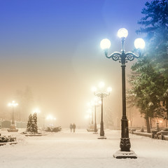 Footpath in a fabulous winter city park