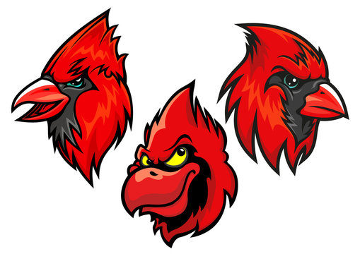Cardinal Bird Heads Set