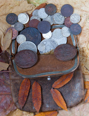 purse with the last centuries