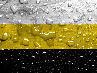 flag of Federal State of Novorossiya with rain drops