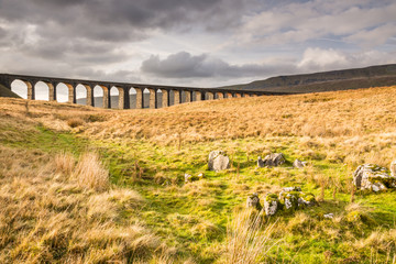 Fototapeta premium Ribblehead Railway Bridge