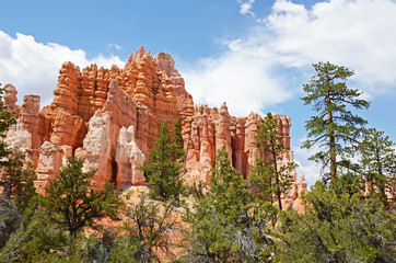 Scenics of Bryce Canyon National Park, USA