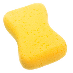 sponge
