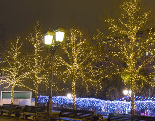 Christmas Moscow