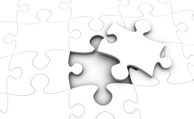 Jigsaw Puzzle Pieces