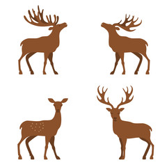 deer flat illustration