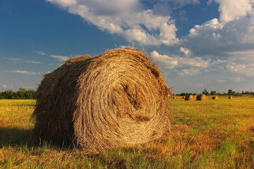 Рулоны © MaskaRad