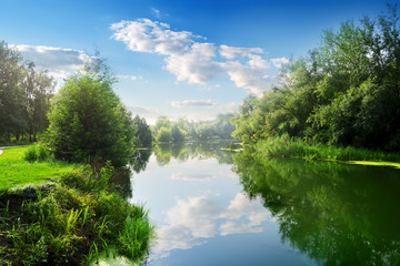 River in the summer