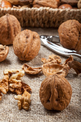 Collection of shelled nuts and nutcracker.