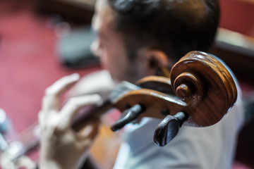 cello © boygostockphoto
