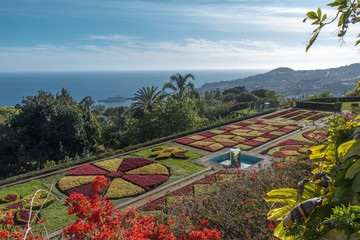 Botanical garden. Funchal, Madeira island, Portugal