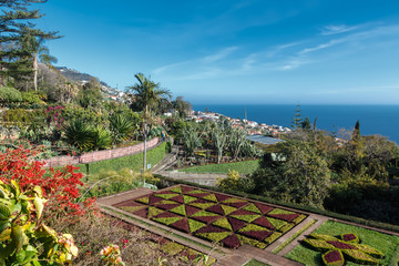 Botanical garden. Funchal, Madeira island, Portugal