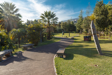 Park. Funchal, Madeira island, Portugal