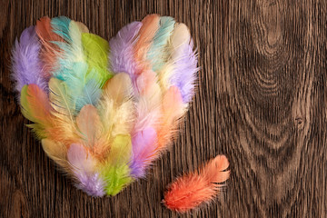 Valentines Day. Heart made of feathers on wood. Love concept