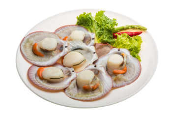 Raw fresh scallop