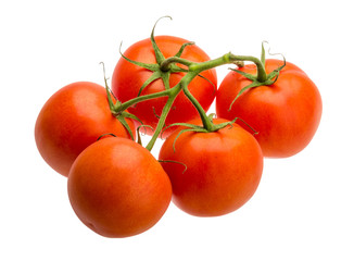 Tomatoes on the branch
