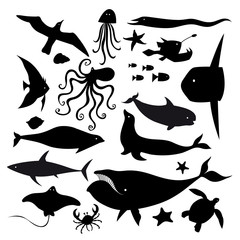 Fototapeta premium Set of marine animals