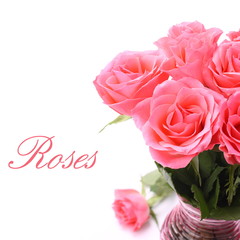 Bouquet of pink roses in vase on the white background