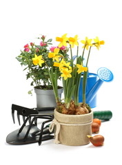 Gardening tools and flowers isolated on white