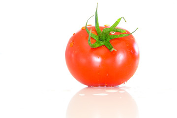Tomate