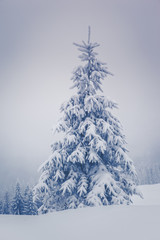 Amazing winter landscape